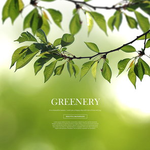 greenery_021