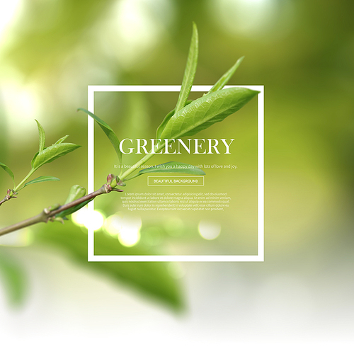 greenery_022