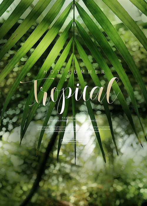 Tropical summer_006