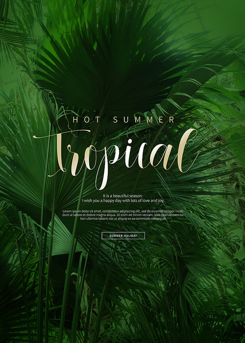 Tropical summer_010