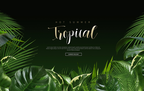Tropical summer_013