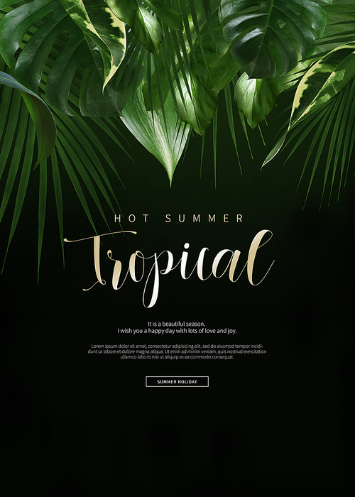 Tropical summer_014