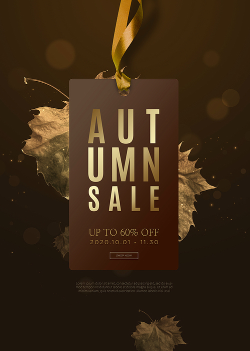 Autumn sale_001