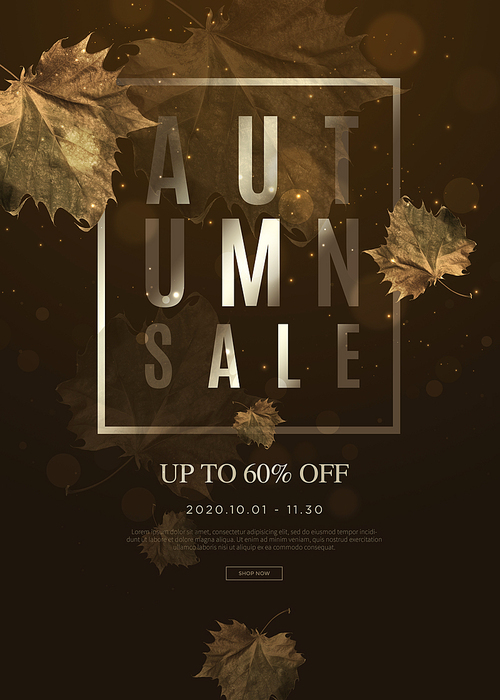 Autumn sale_002