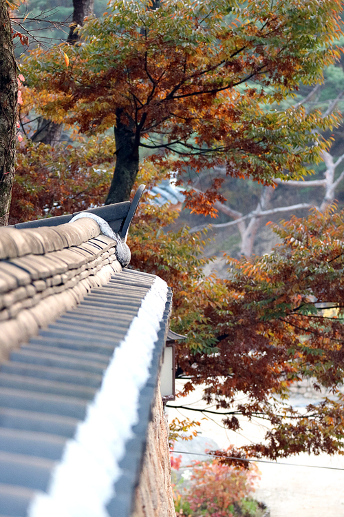 Autumn landscape in Korea_055