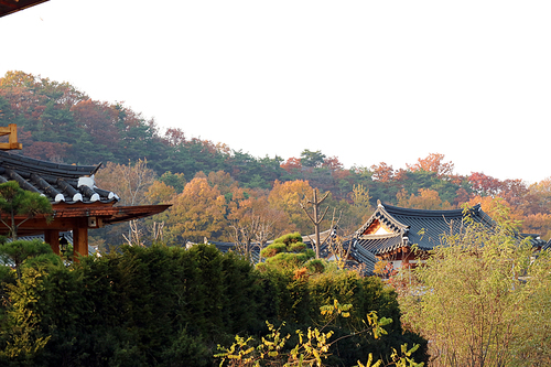 Autumn landscape in Korea_015