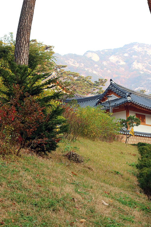 Autumn landscape in Korea_022