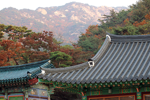 Autumn landscape in Korea_037