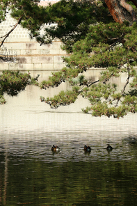 Traditional Korean Palace_026