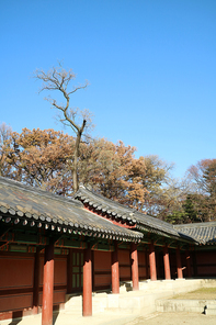 Traditional Korean Palace_053