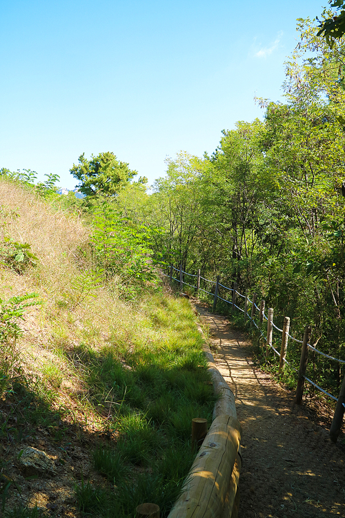 Mountain landscape_004