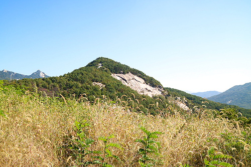 Mountain landscape_008