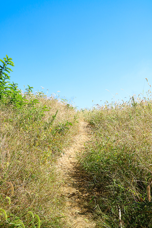 Mountain landscape_006