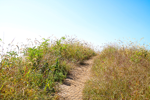 Mountain landscape_011