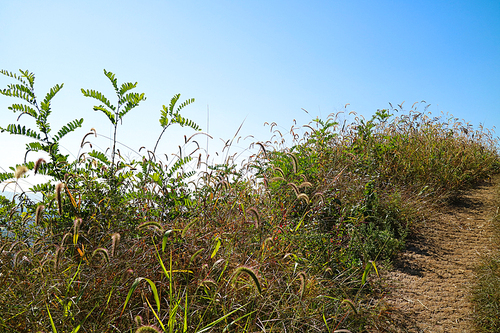 Mountain landscape_012