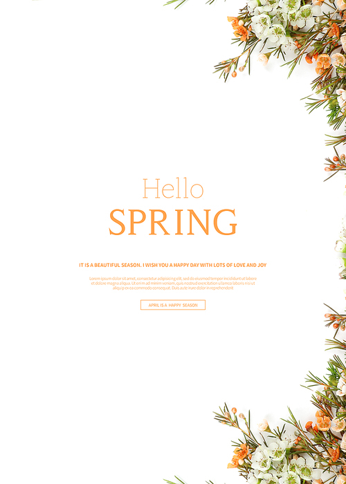 hello spring_2019035