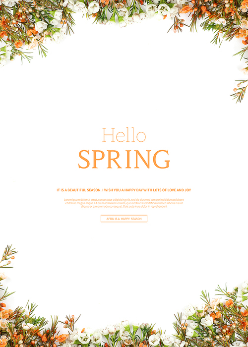 hello spring_2019036