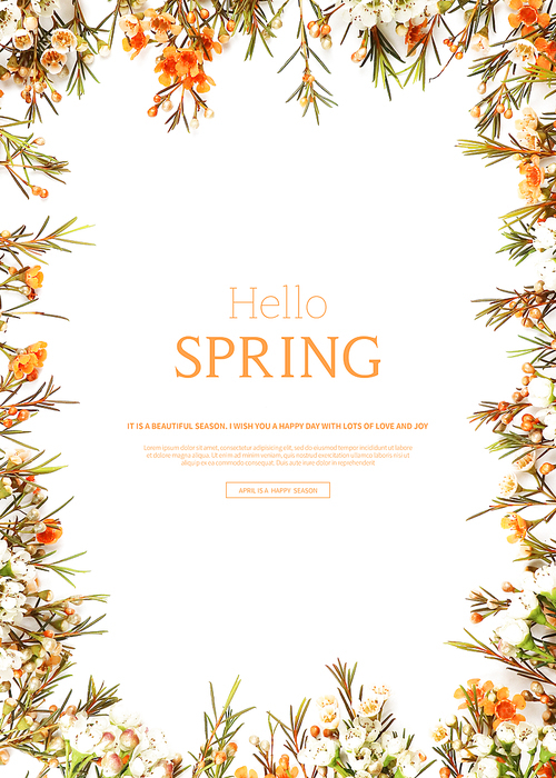 hello spring_2019038