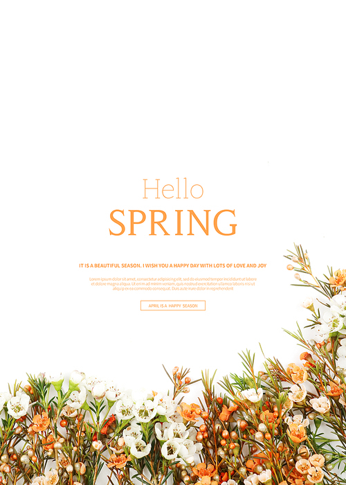 hello spring_2019039