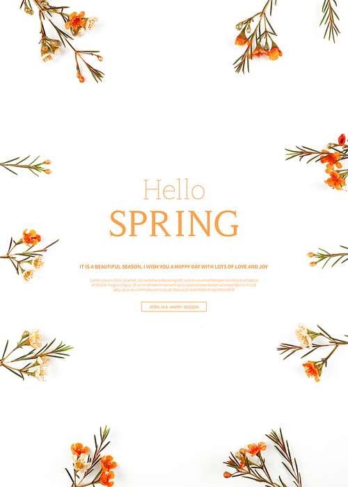 hello spring_2019040
