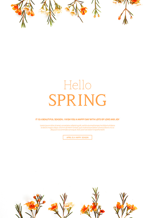 hello spring_2019041