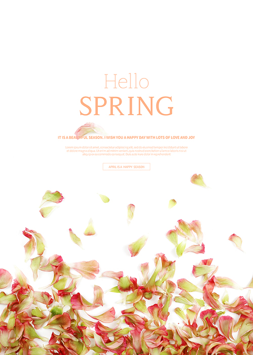 hello spring_2019042