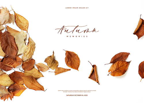 autumn emotion_009