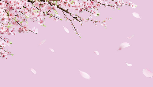 아름다운 봄,벚꽃 배경_015