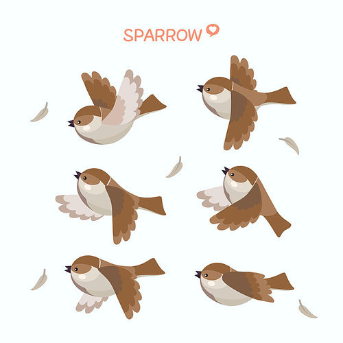 11_element_sparrow