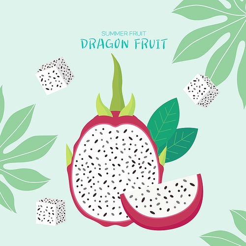 summer_fruit_dragon fruit
