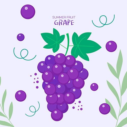 summer_fruit_grape