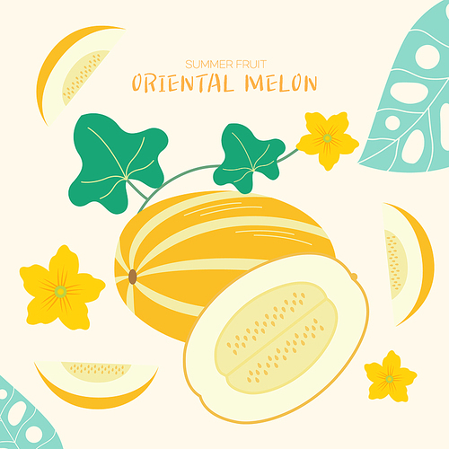 summer_fruit_oriental melon