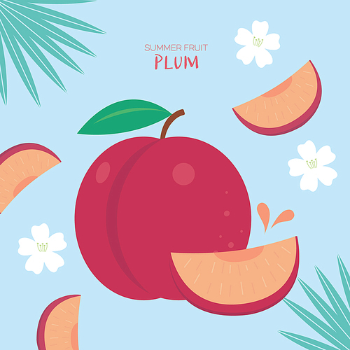 summer_fruit_plum