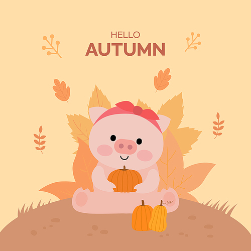 가을배경 귀여운 돼지