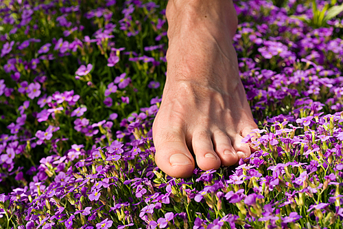 Healthy feet series: male foot standing in a field of flowers