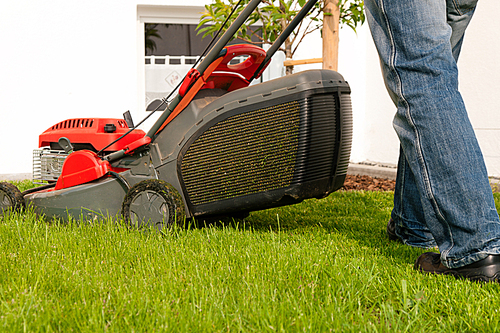 Man mowing lawn in his garden or front yard in summer