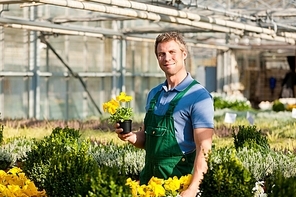 Male florist or gardener in flower shop or nursery greenhouse