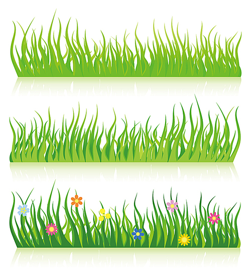 Grass. Green grass with flowers. A vector illustration