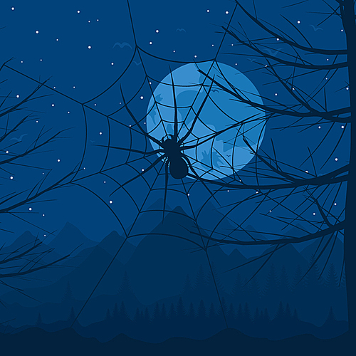 Spider at night. Spider on a web against the night sky. A vector illustration