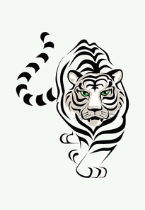 Tiger. The white tiger is stolen. A vector illustration