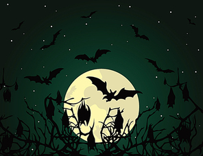Bat. Bats at night over wood. A vector illustration