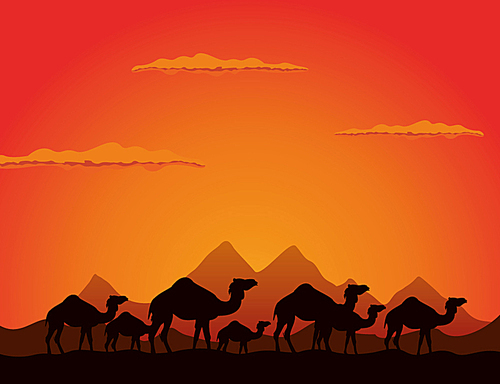 Camel2. Caravan of camels go on deserts. A vector illustration