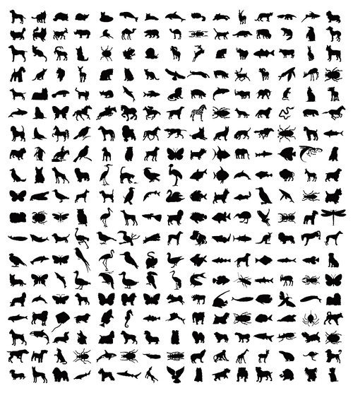 Collection of silhouettes of animals. 280 silhouettes of animals of black colour. A vector illustration