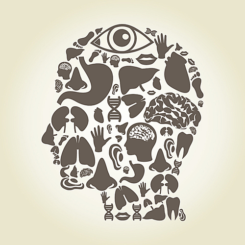 Head made of body parts. A vector illustration