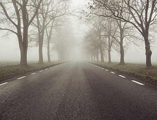 Picture presenting the foggy road