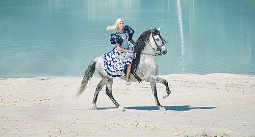 Pretty elegant woman on the horse