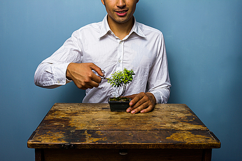 Young man at desk with bonsai