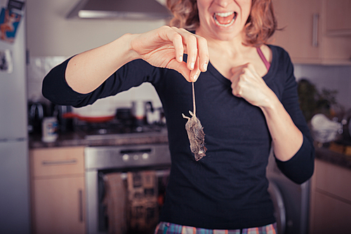 A disgusted young woman is holding a dead mouse by it’s tail in the kitchen