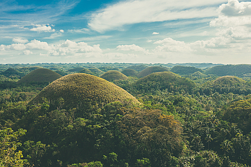View of the famous and unusual Chocolate Hills in Bohol|Philippines