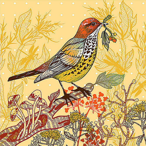 vector  illustration of a forest bird with autumn plants and mushrooms